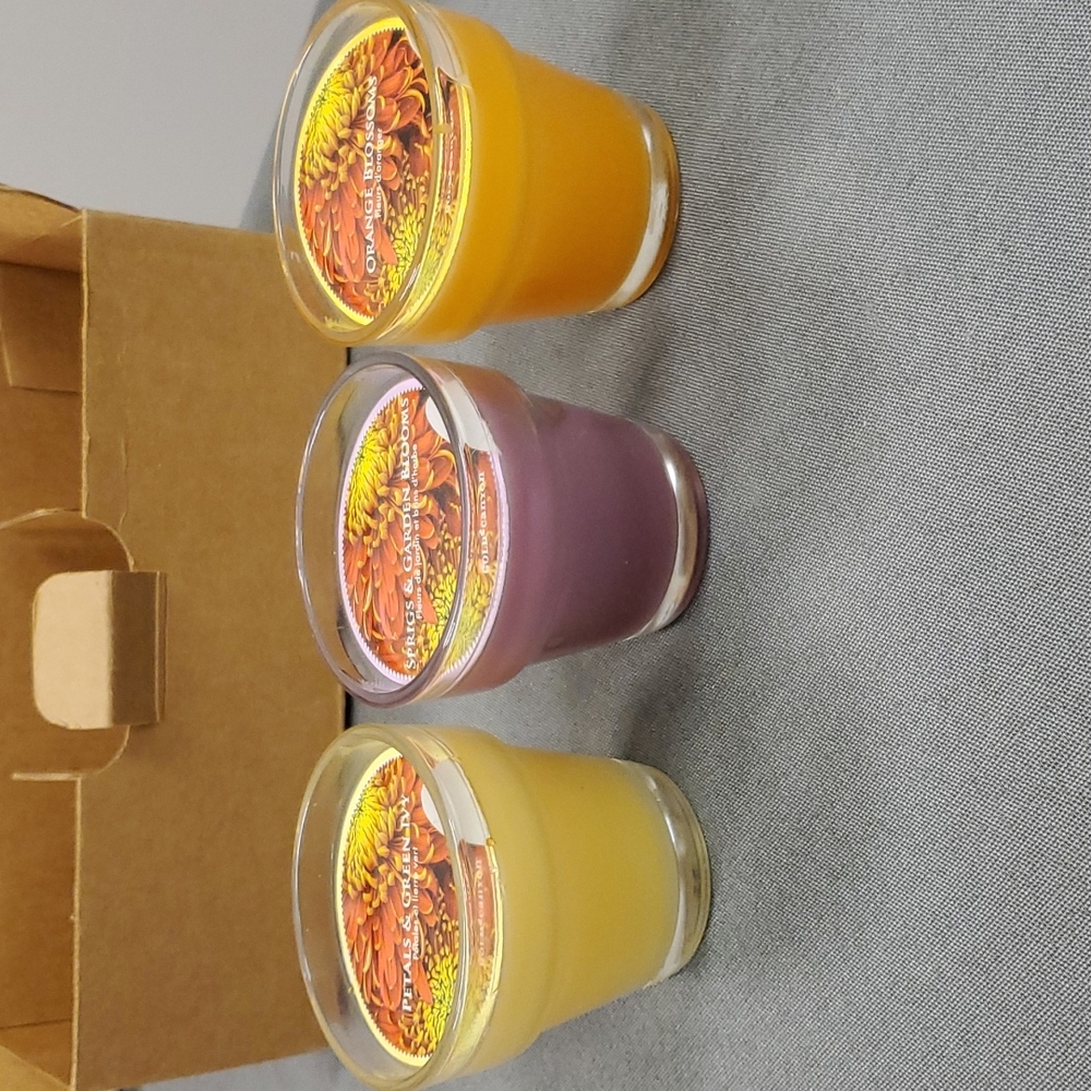 Potted Blooms Trio,‎ three 3 oz Gold Canyon candles- 3 scents